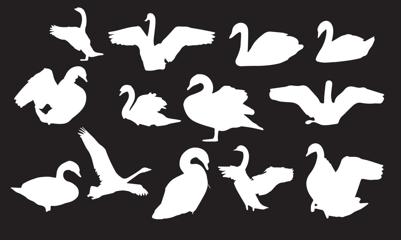 diseño de ilustración vectorial de cisne colección en blanco y negro vector