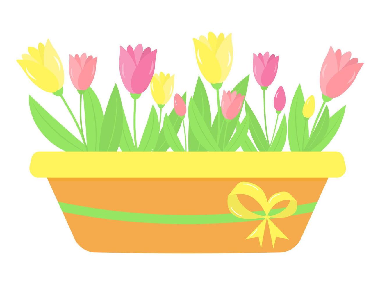 Wooden box decorated bow ribbon with pink and yellow tulips. Spring and gardening concept. vector