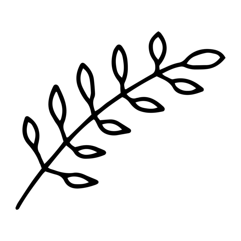 Branch with leaves drawn in the style of Doodle.Outline drawing by hand.Botanical illustration.Black and white image.Monochrome.Simple drawing.Vector vector