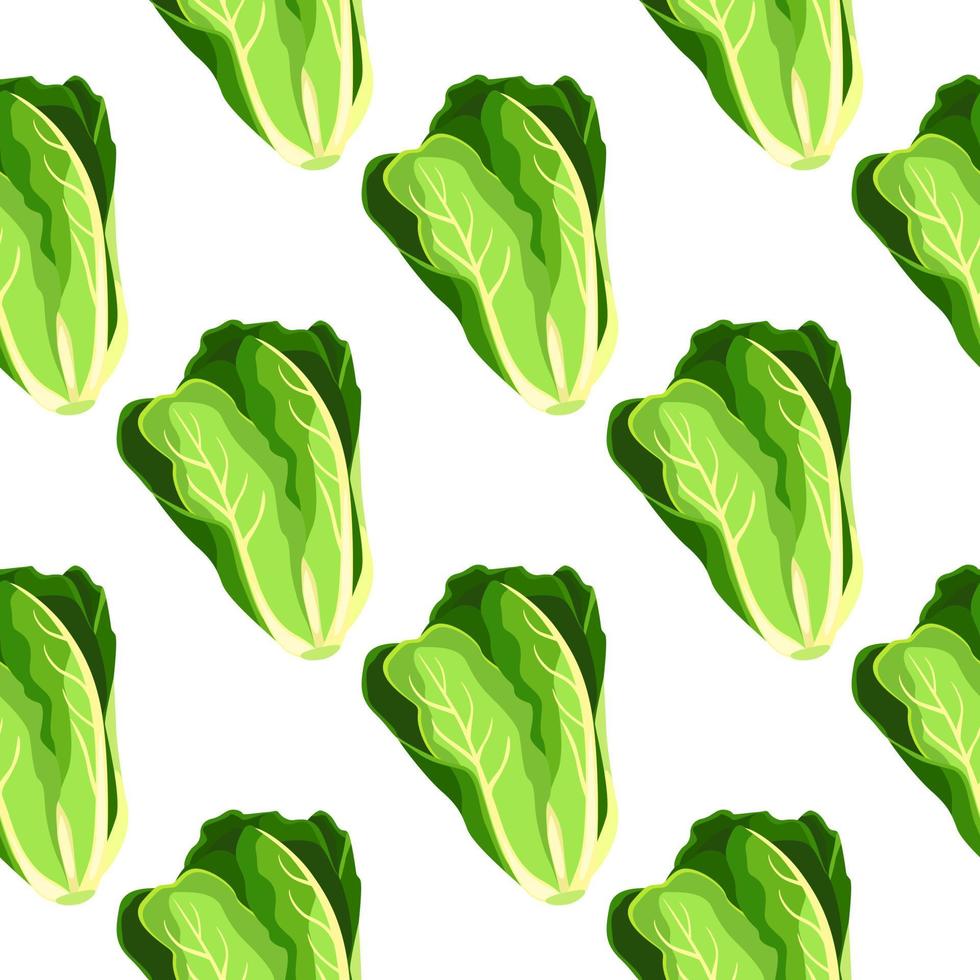 Ilustración de patrones sin fisuras de planta de lechuga de ensalada romana vector