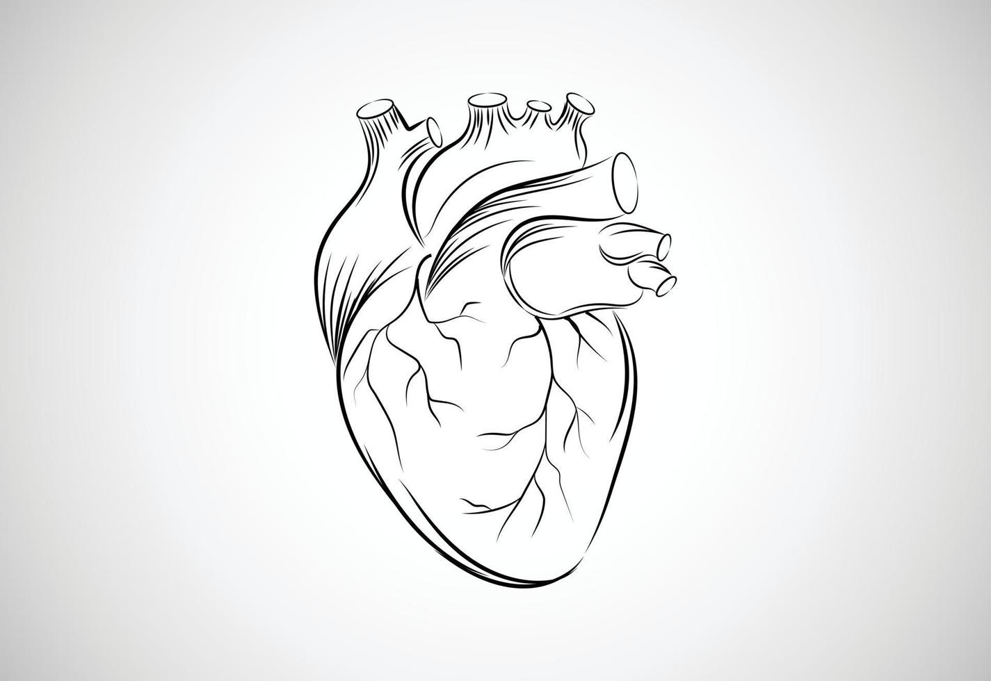 Ilustración de vector de corazón humano de arte de línea dibujada a mano