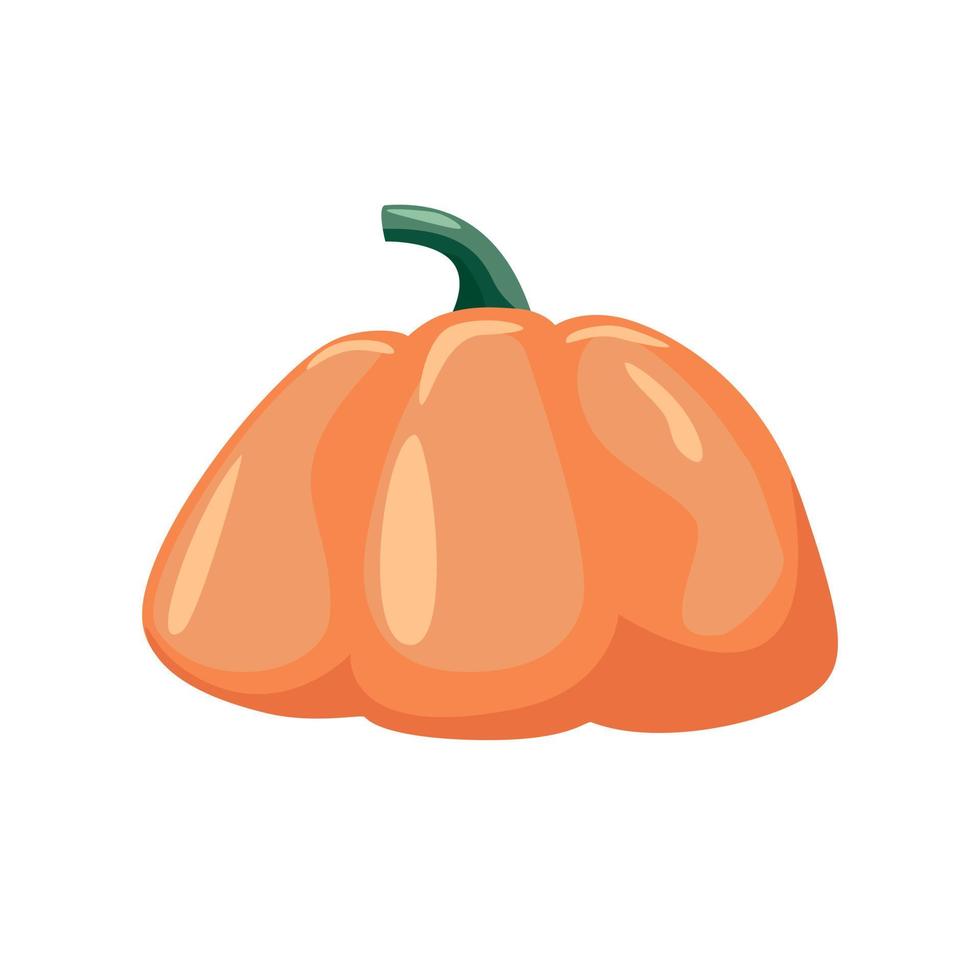 colorful pumpkin over white background vector illustration.