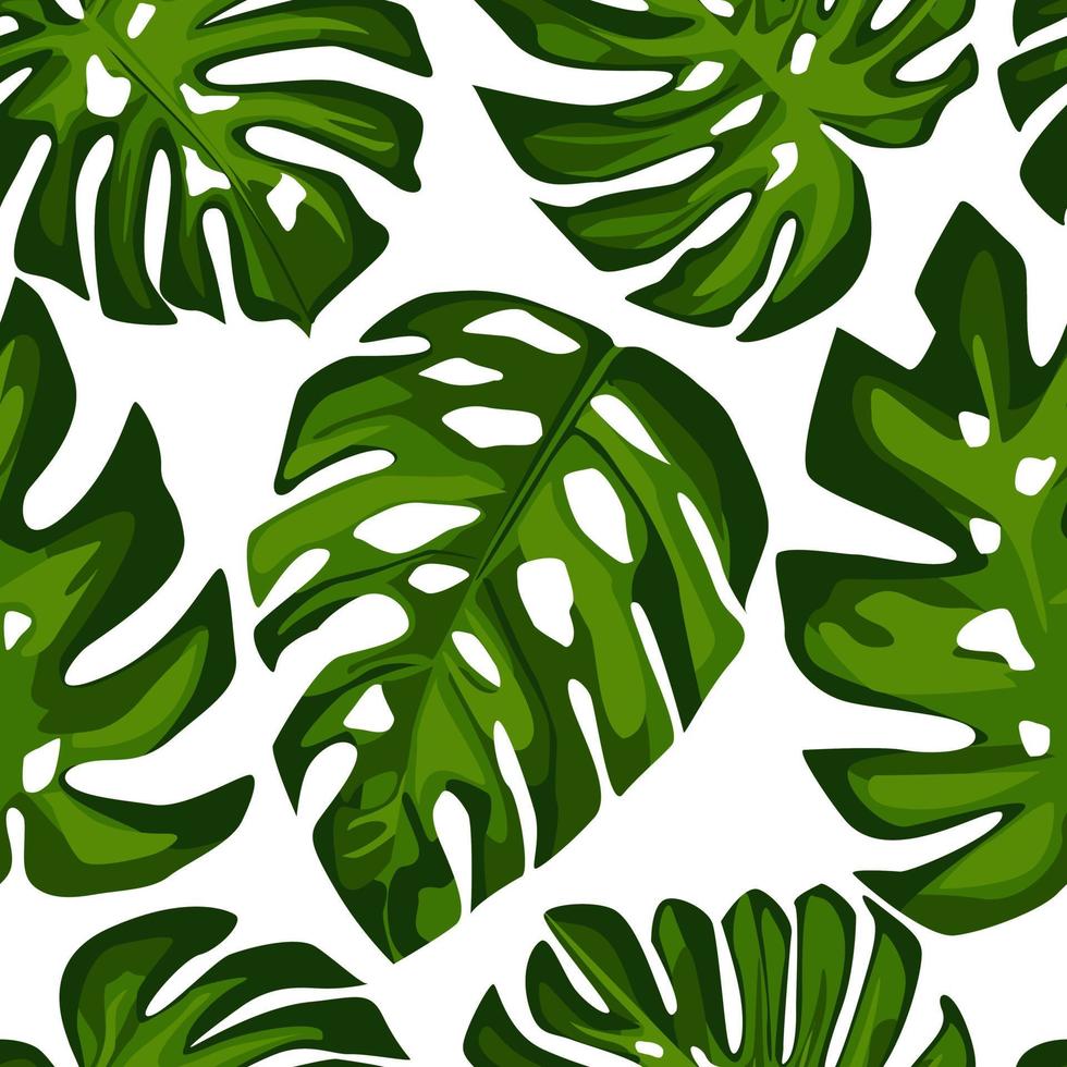 Exotic Tropical monstera leaves seamless pattern. Tropical pattern vector