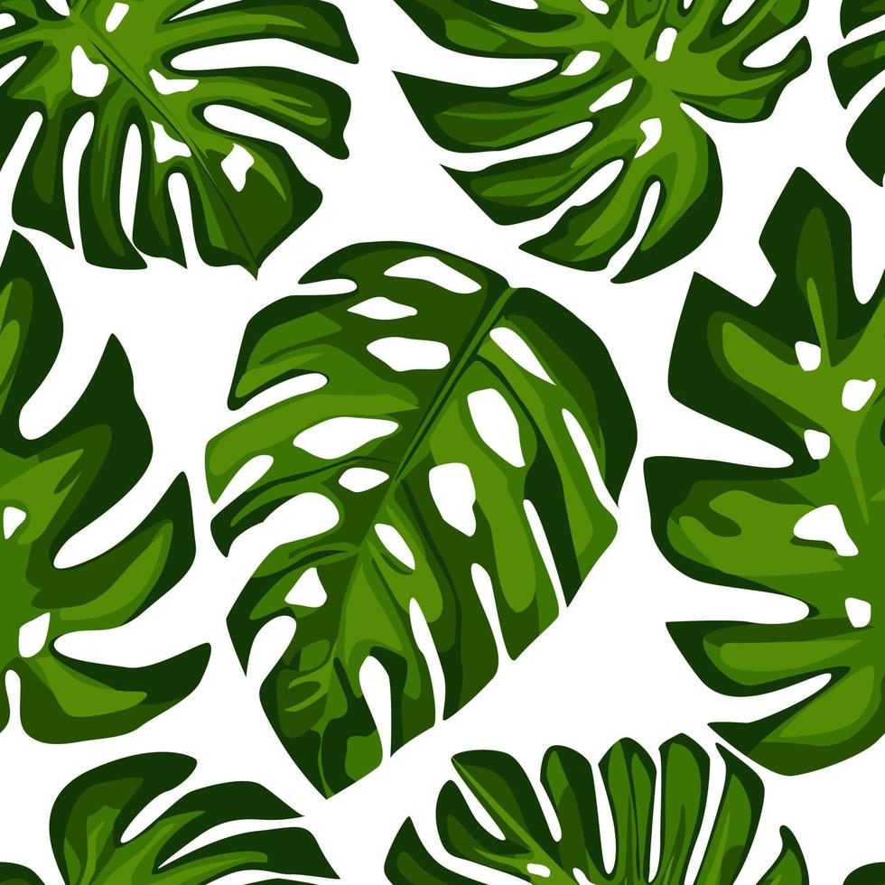 Monstera tropical exótica deja un patrón sin costuras. patrones tropicales vector