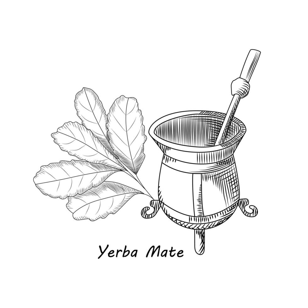 Calabash and bombilla for yerba mate drink. Mate tea vector