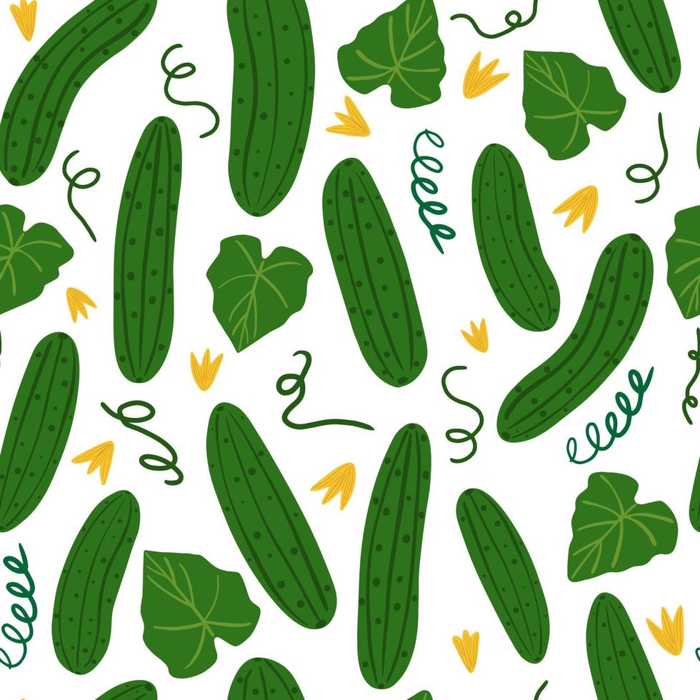 patrón sin fisuras de pepino sobre fondo blanco. papel pintado vegetal. vector