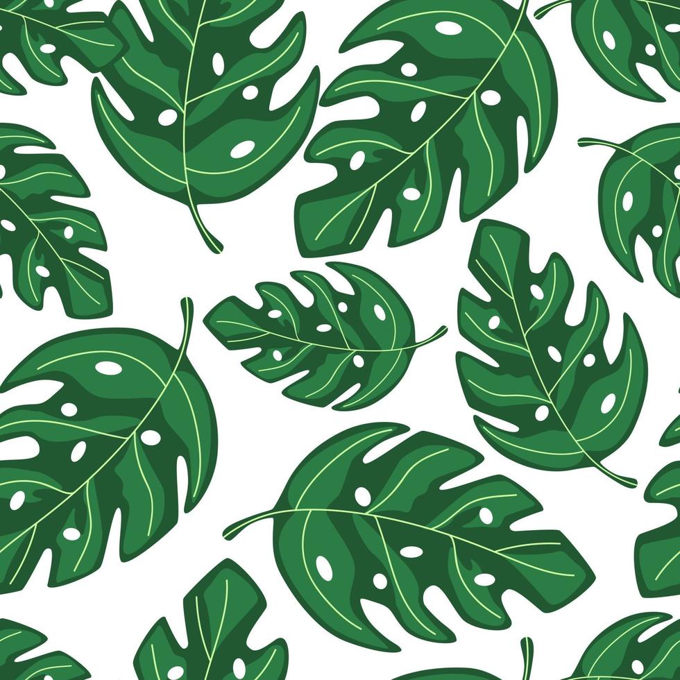 Tropical monstera leaves seamless repeat pattern . Exotic plant. vector