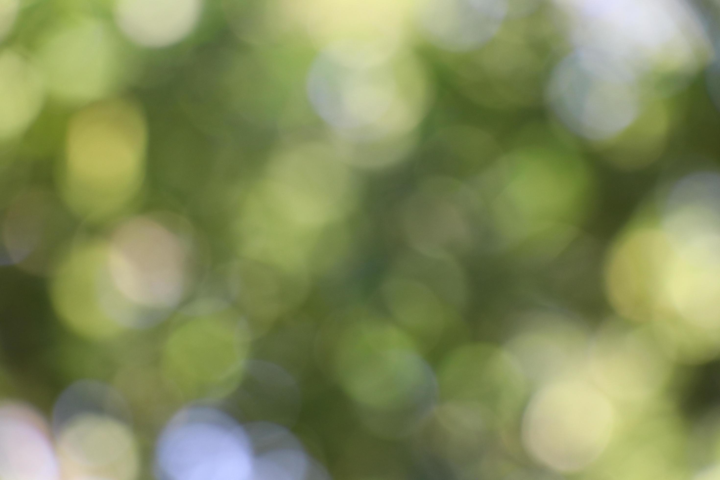 Fresh Nature Bokeh Background Blurred Bokeh Green Background 5497199 Stock  Photo at Vecteezy