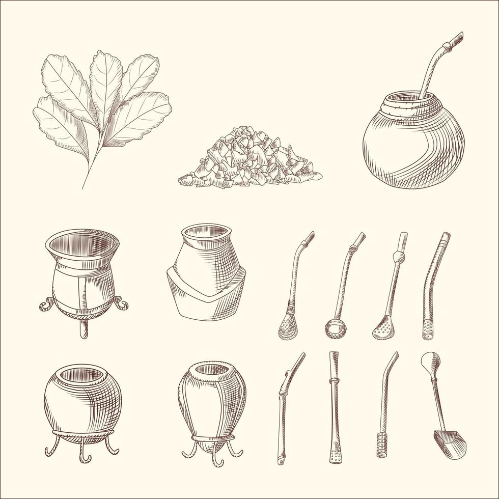 Set of yerba mate tea branch, calabash and bombilla. Mate tea leaf. vector