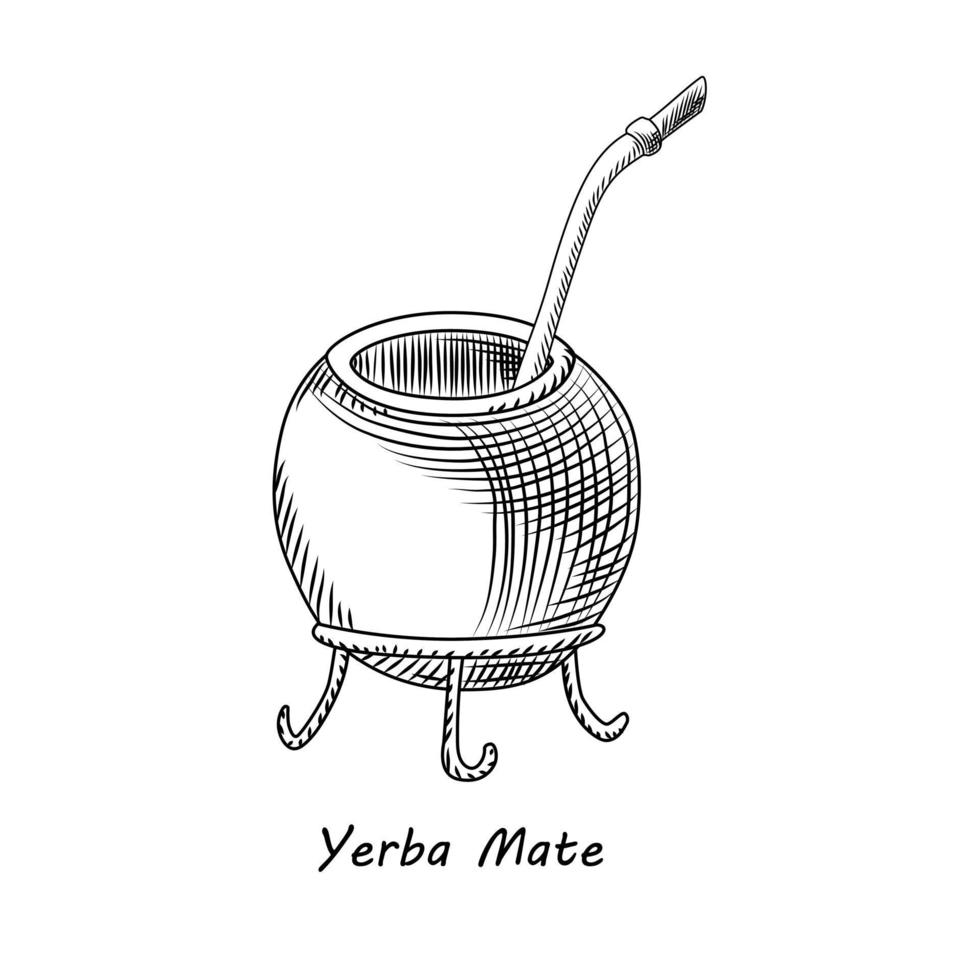 Calabash for yerba mate drink isolated on white background. vector