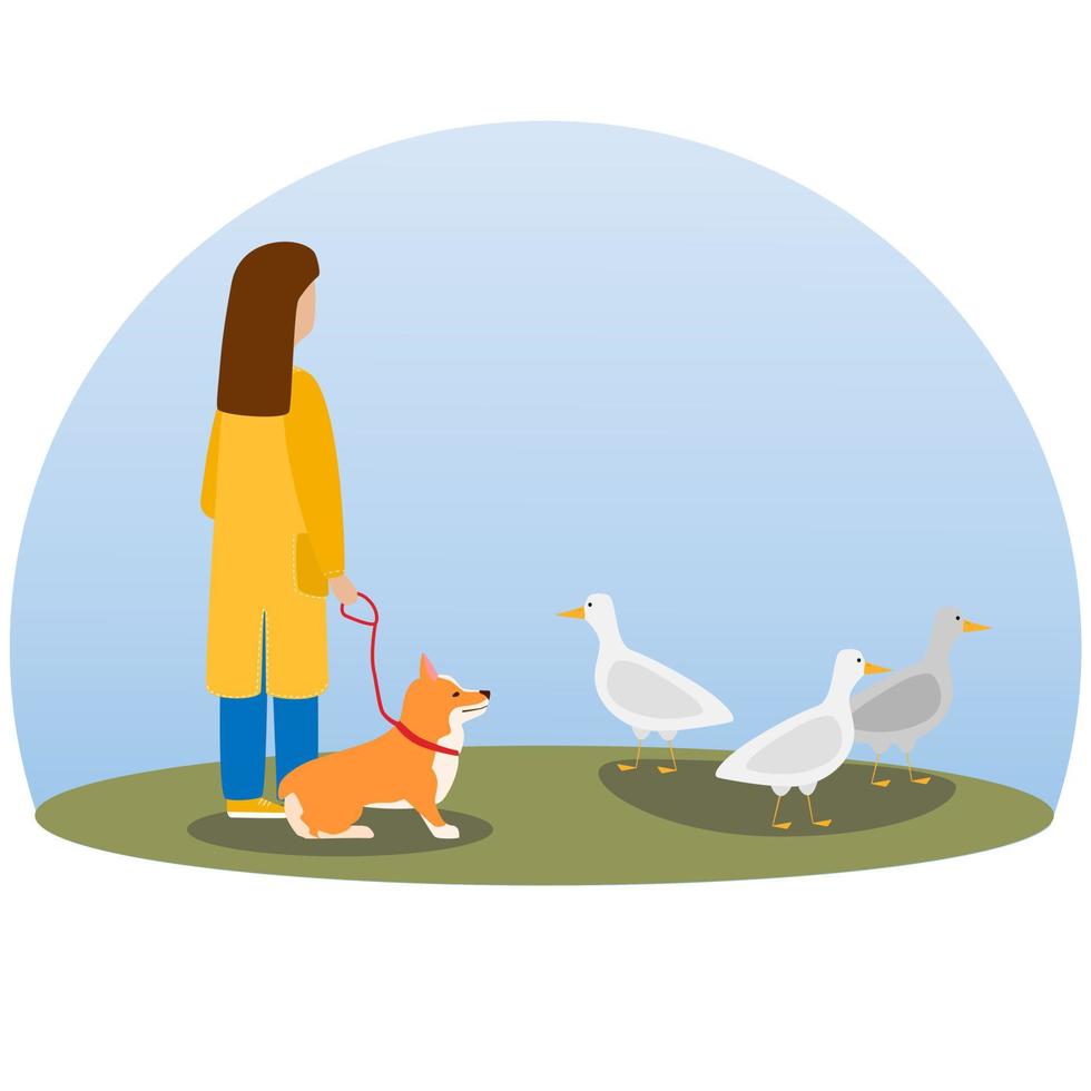 una mujer paseando a un perro. lindo perro feliz. corgi galés. vector