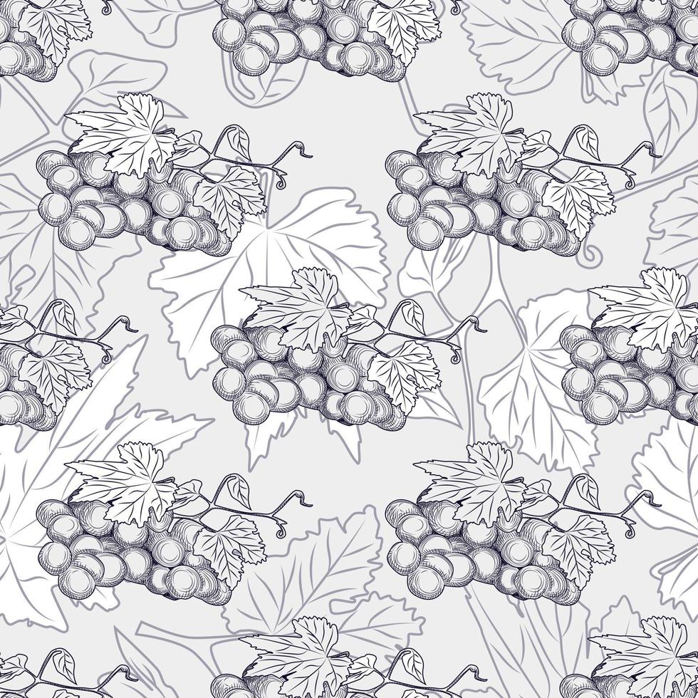 racimos de uva dibujados a mano y hojas de patrones sin fisuras. vector