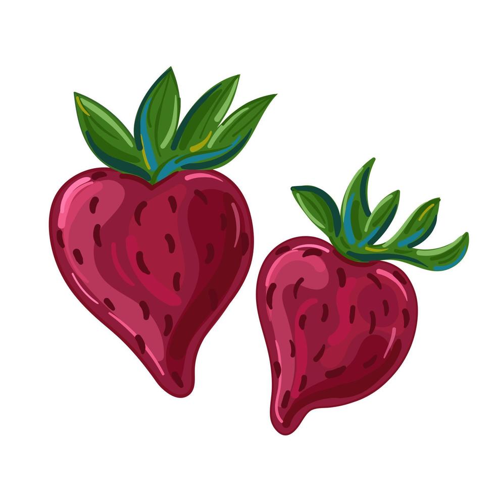 Vector illustration fruit strawberry hand draw style. Vector painting.