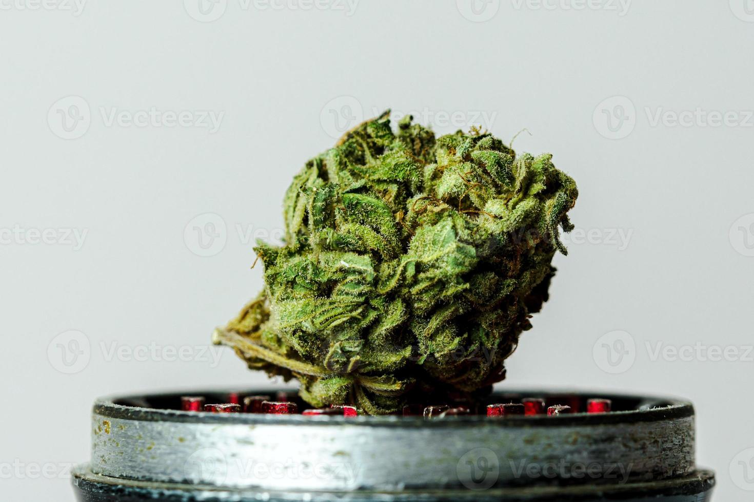 Close-up of medical marijuana buds on white background photo