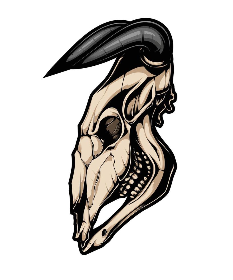 The Horned Bull Skull Vector Artwork