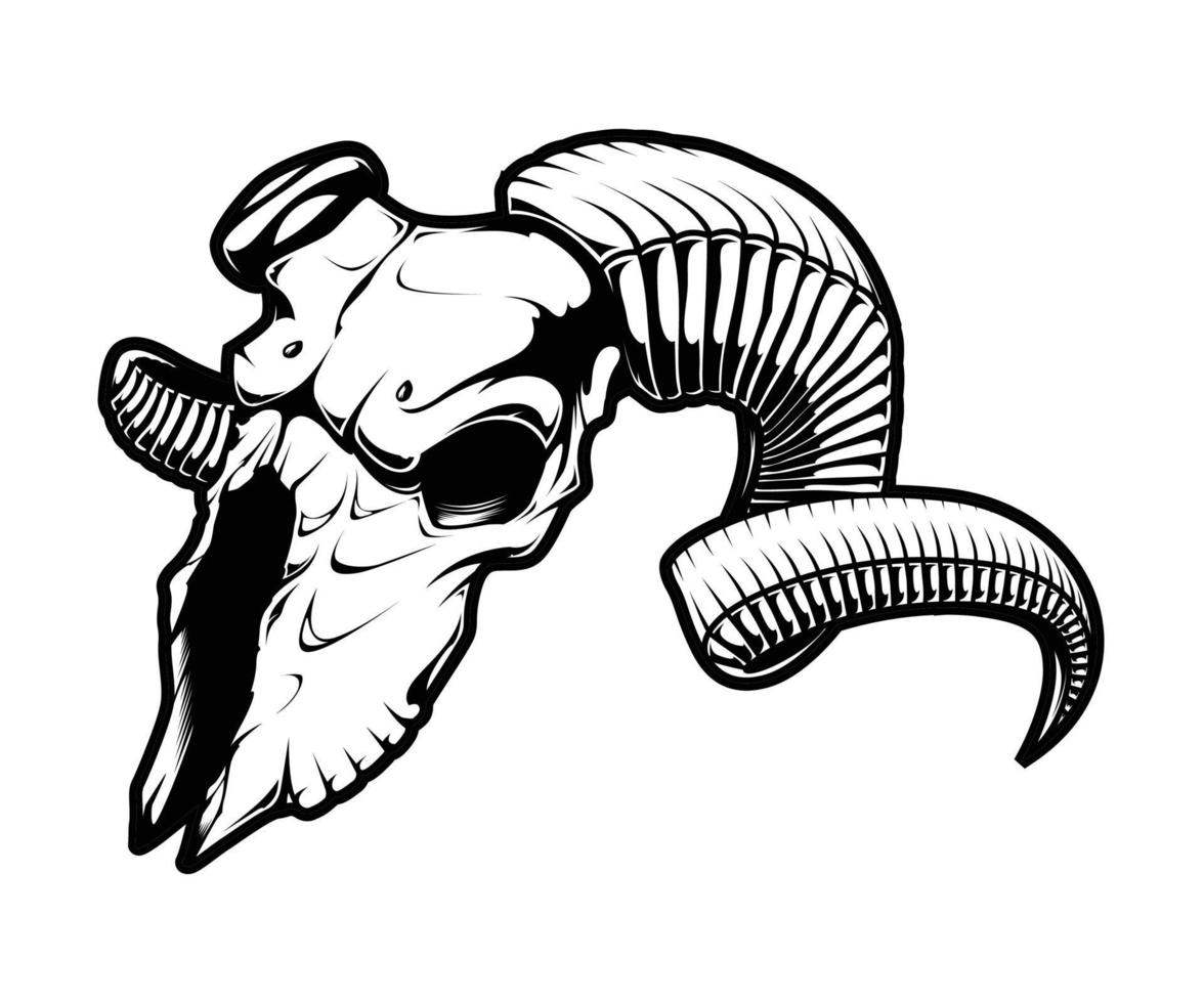 The Goat Skull Line Art vector