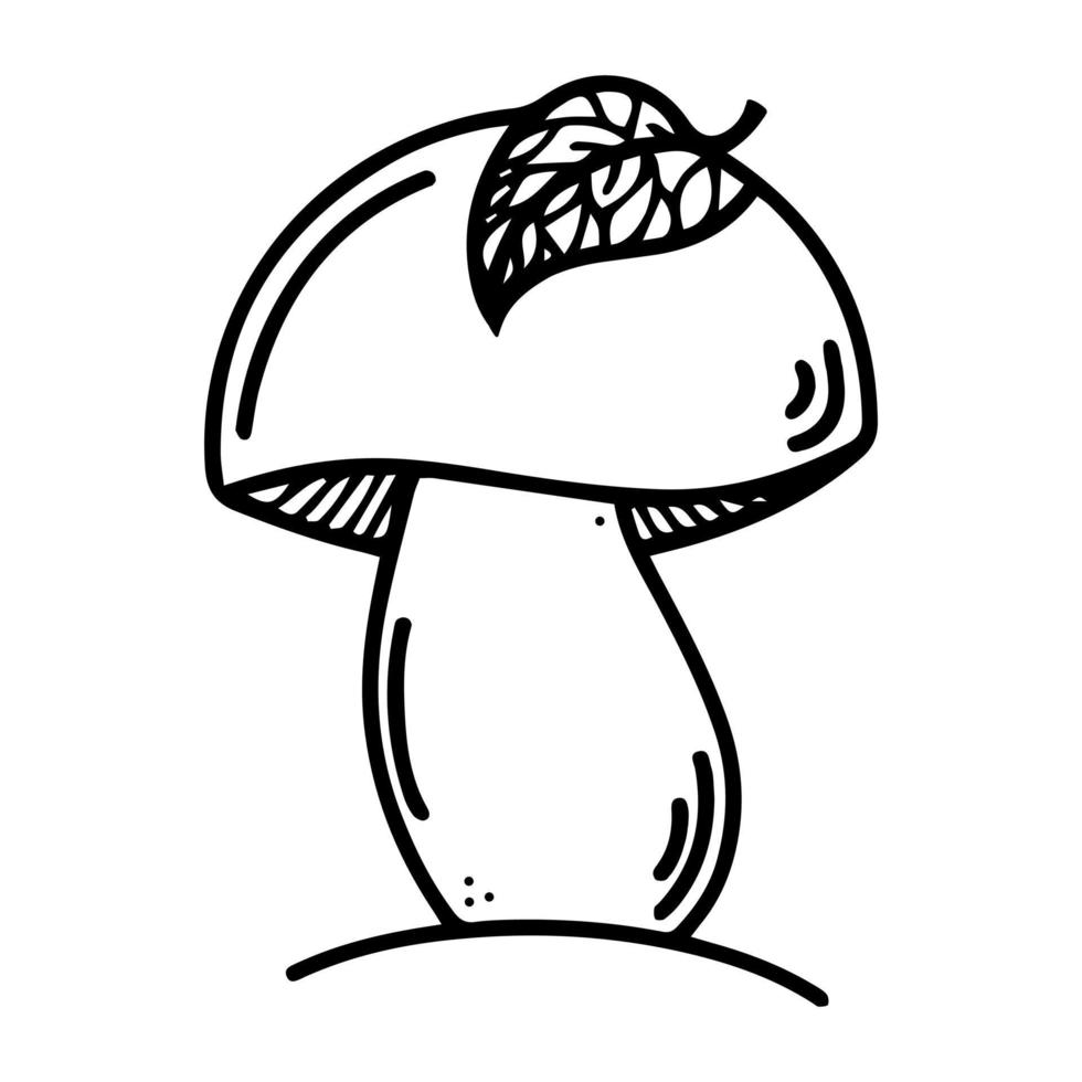 Edible mushroom vector icon. Hand drawn doodle isolated on white background. A beautiful boletus with a leaf on a cap. Forest mushroom growing in the soil monochrome illustration. Line art.