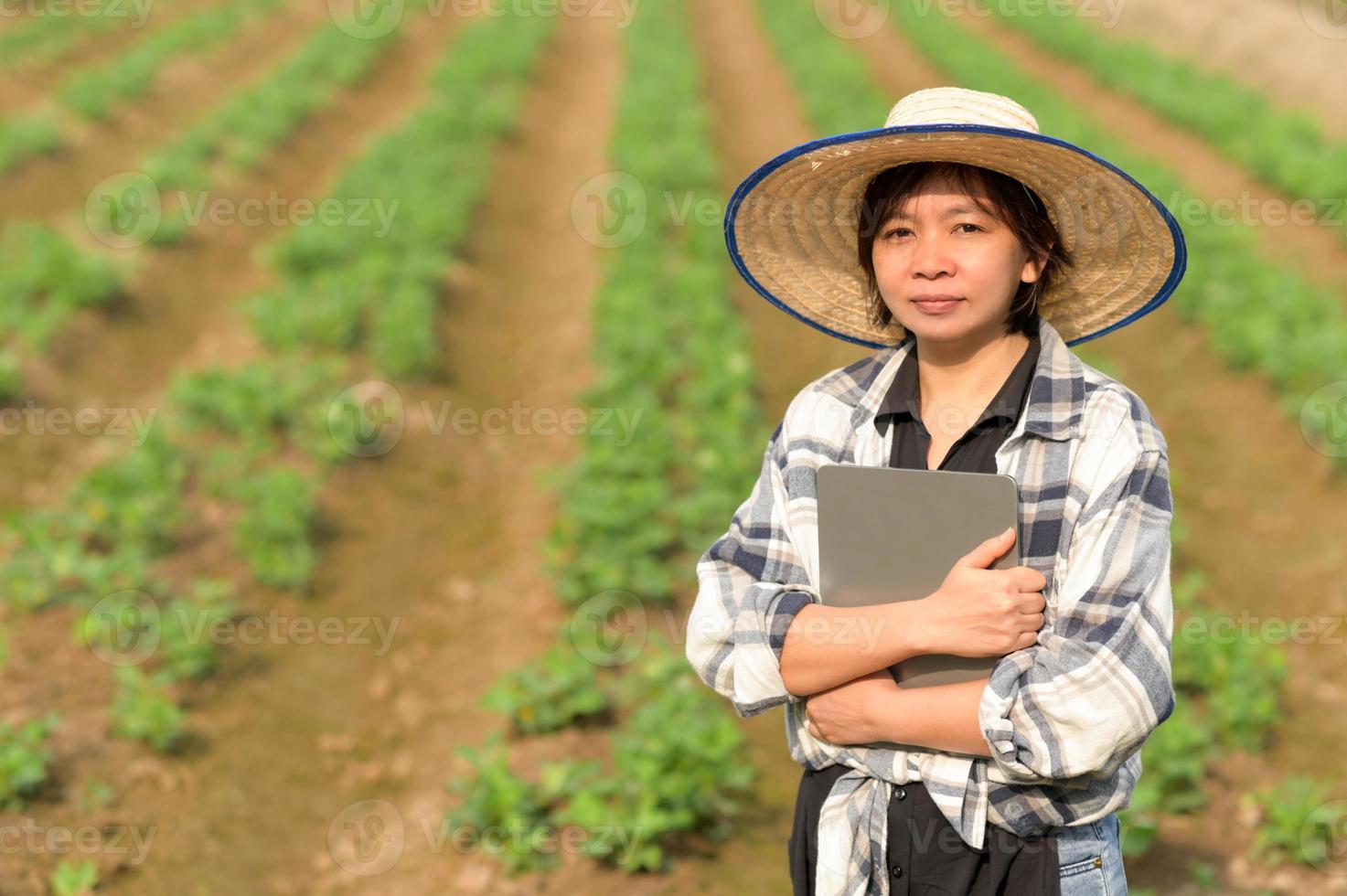 A female farmer with a tablet stands at the organic vegetable plot. photo