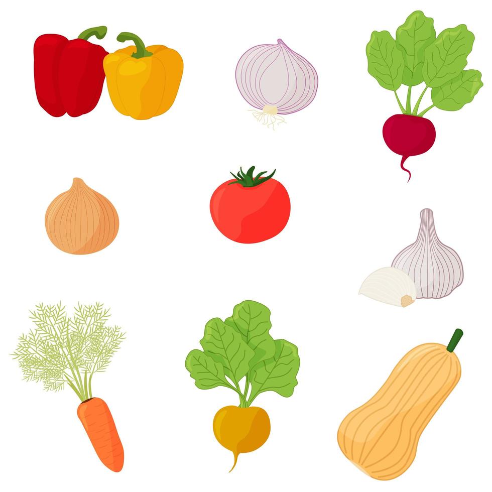 colección vectorial de verduras zanahoria, cebolla, tomate y otros. vegetales orgánicos en estilo plano de dibujos animados. concepto vegetariano vector