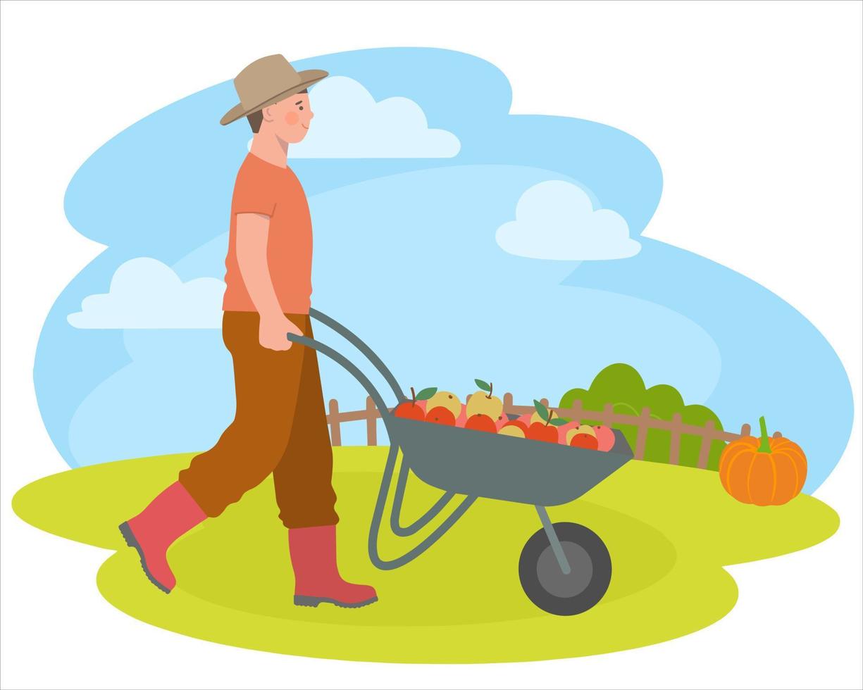 Farmer pushes  cart full of apples. Harvesting. vector