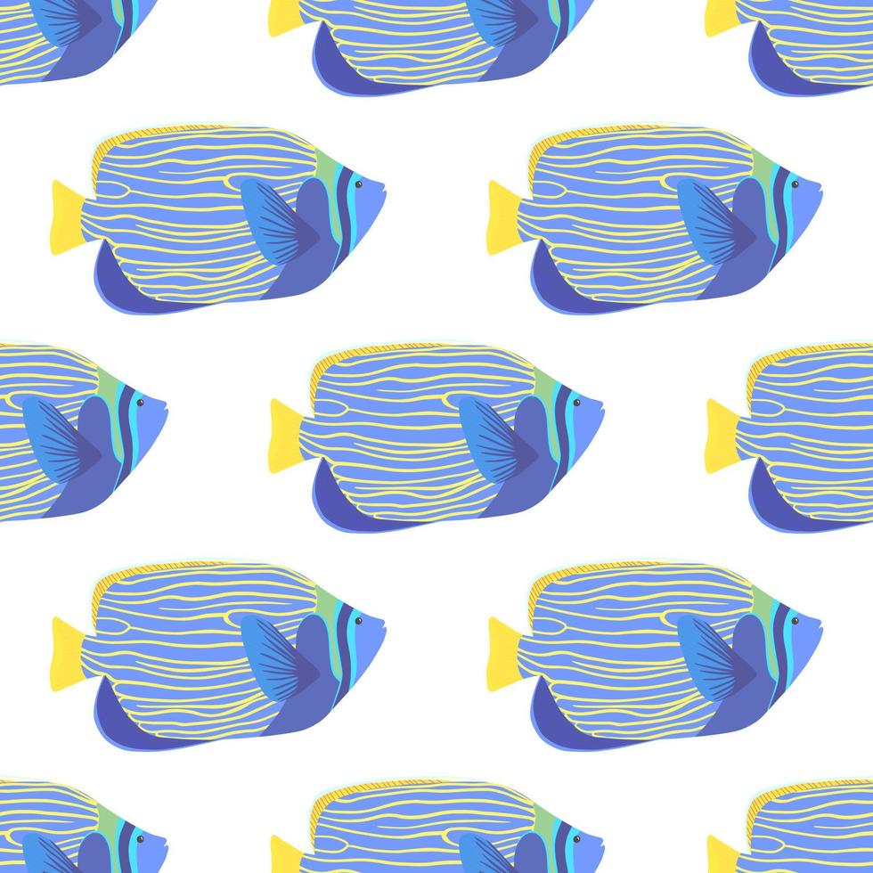 Emperor angelfish seamless pattern. Pomacanthus imperator illustration vector