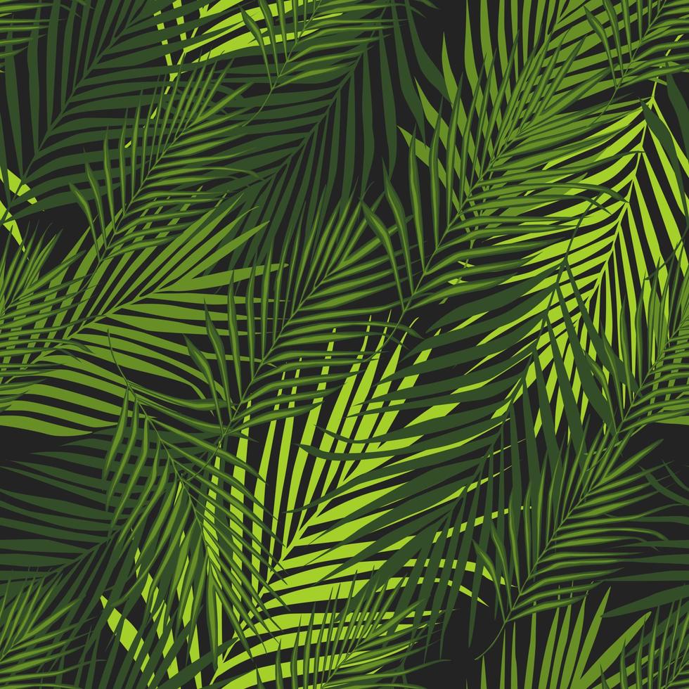 patrón tropical, fondo botánico vectorial. papel tapiz de hojas de palma. vector