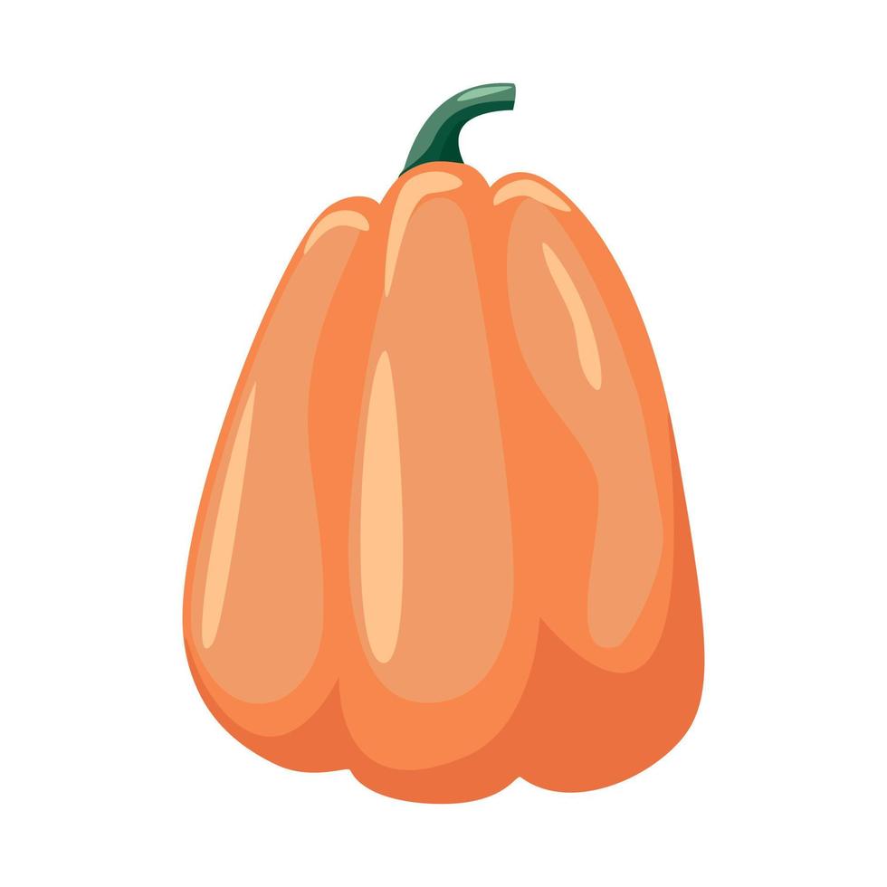 colorful pumpkin over white background vector illustration