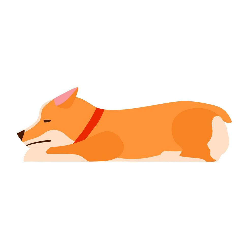 perro triste un cachorro aburrido. corgi galés. ilustración plana vector