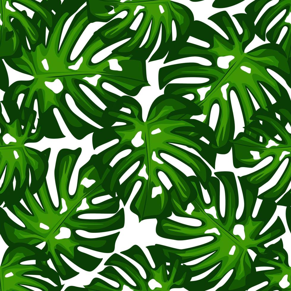 monstera deja un patrón sin fisuras. fondo de hoja botánica. vector