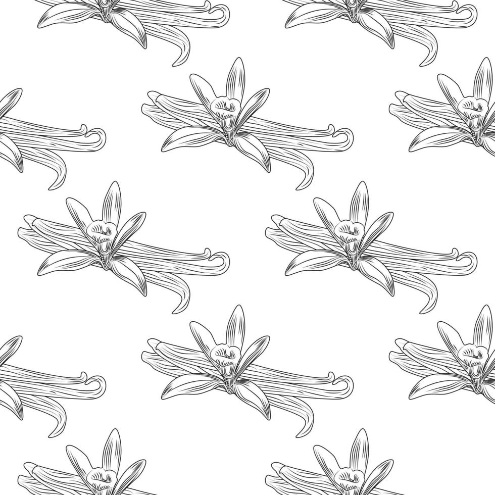 Hand drawn vanilla flower seed plant branch leaf seamless pattern. vector