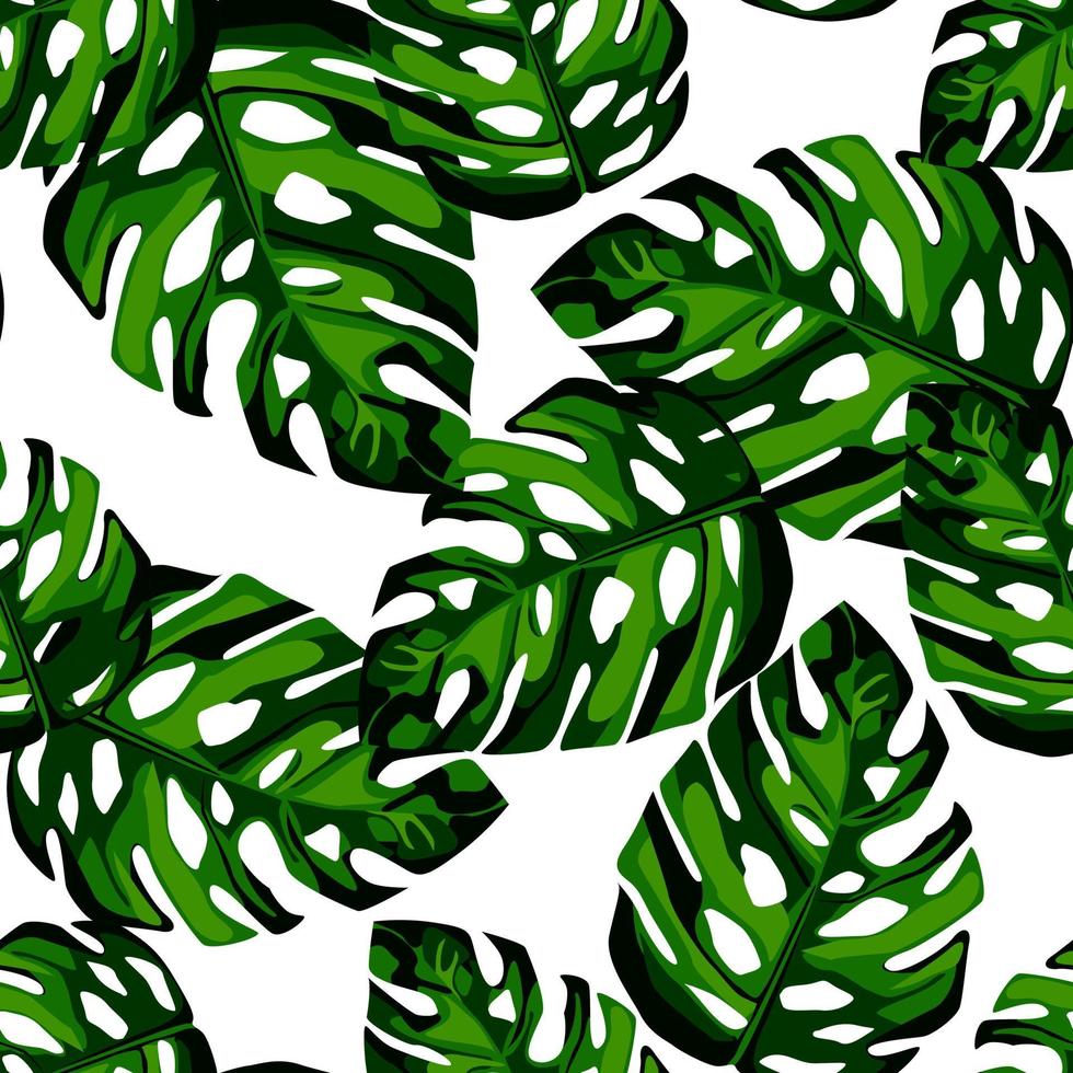 Green leaves Monstera seamless patern. Tropical wallpaper. vector