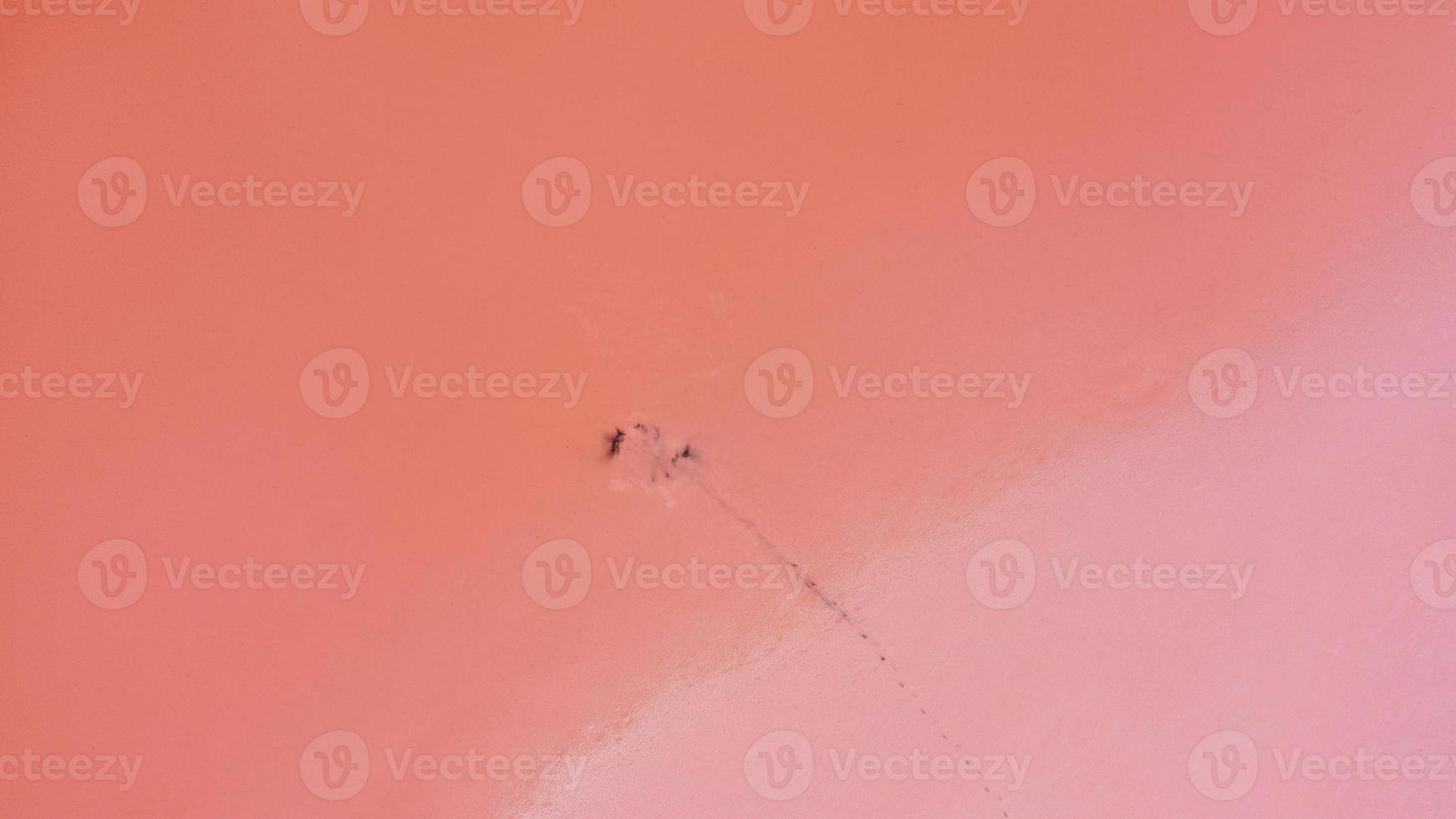 Aerial drone top down photo of a natural pink lake Kuyalnik in Odessa, Ukraine. Lake naturally turns pink due to salts and small crustacean Artemia in the water. This miracle is rare occurrence