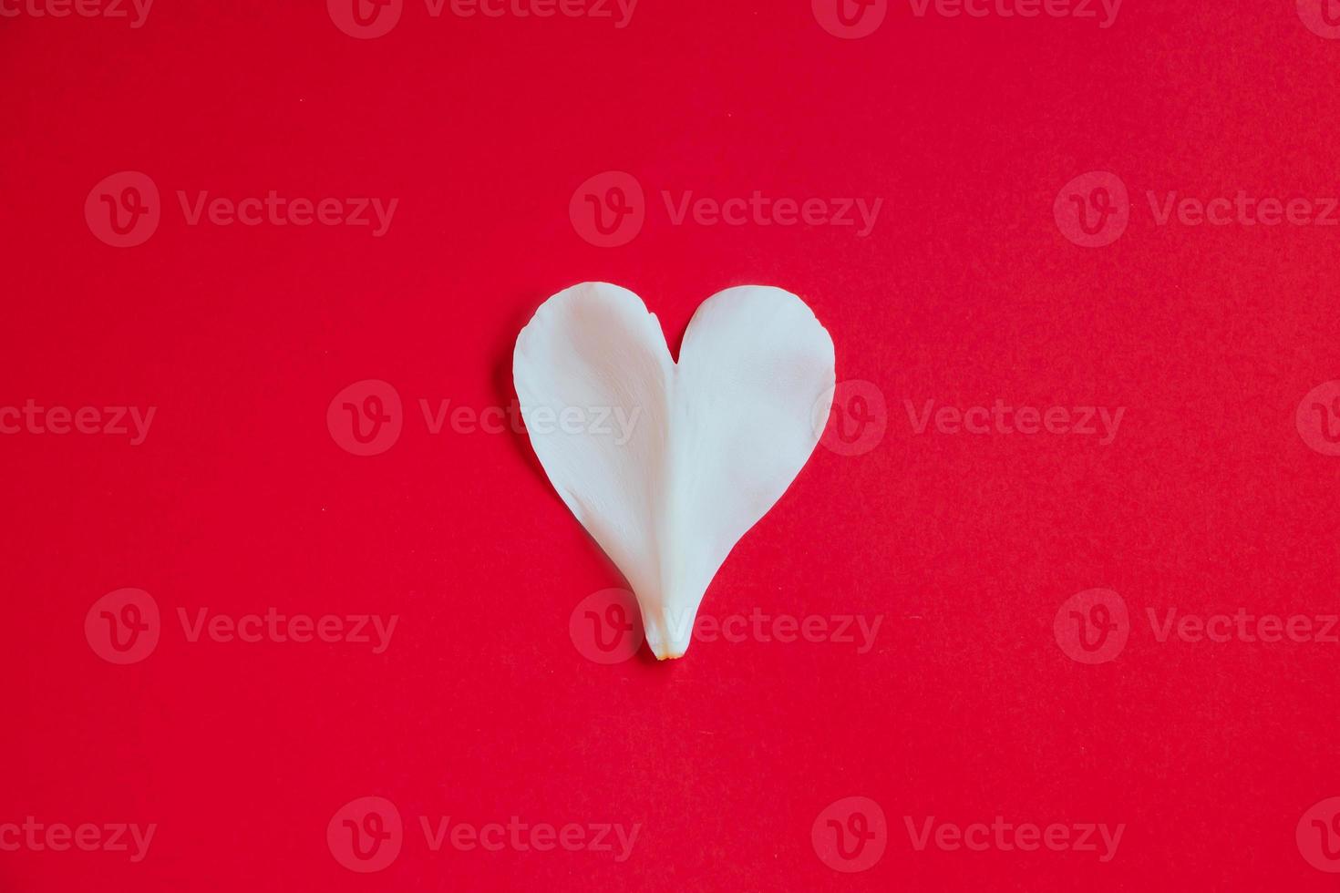 White flower petal in shape of heart on red background. Valentines day symbol. photo