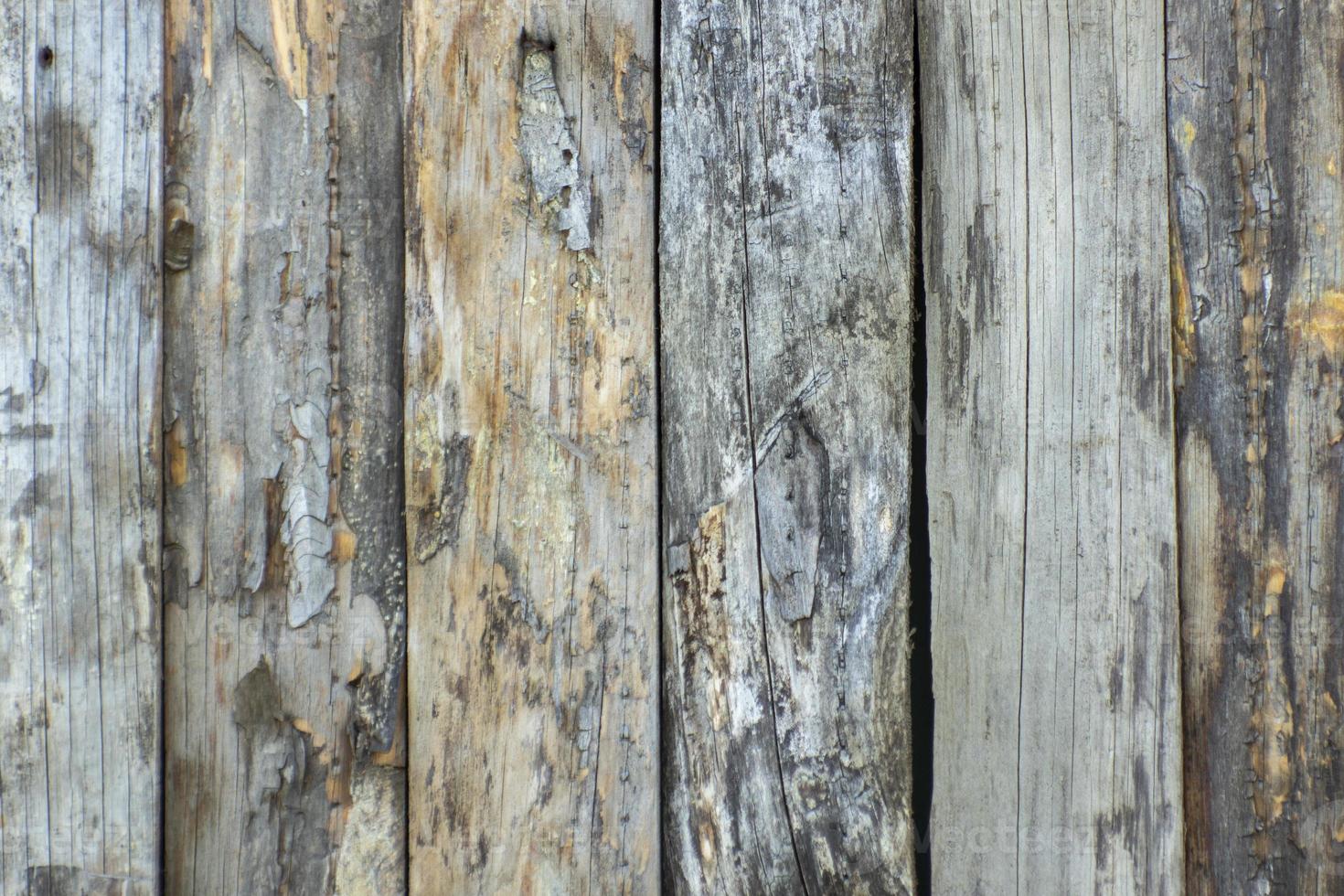 Wood texture background. background wood texture, old wood texture for background den or for business design. top view. Wood plank texture. photo