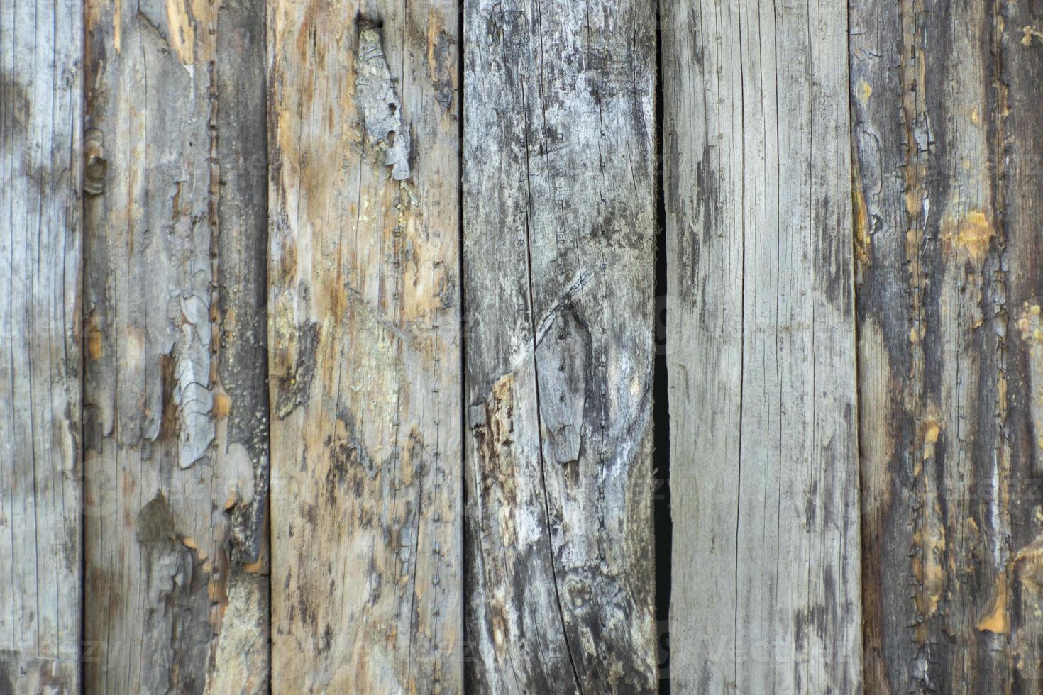 Wood texture background. background wood texture, old wood texture for background den or for business design. top view. Wood plank texture. photo