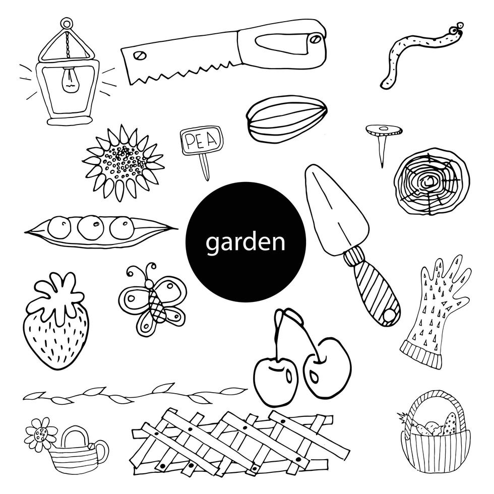 set of doodles vegetable garden vector