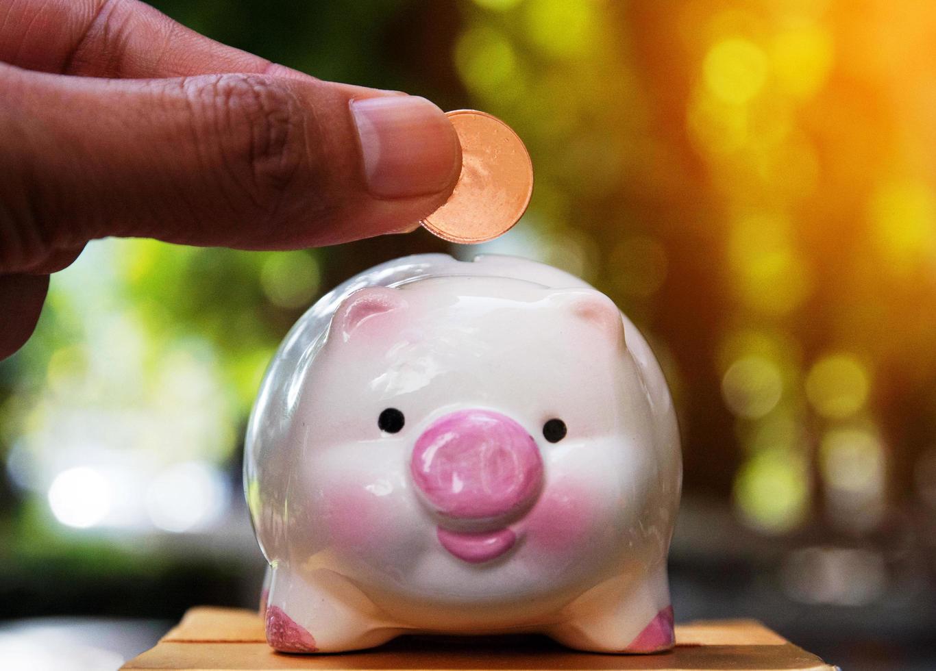 piggy save money, save money concept, Piggy bank and stack of money safe photo