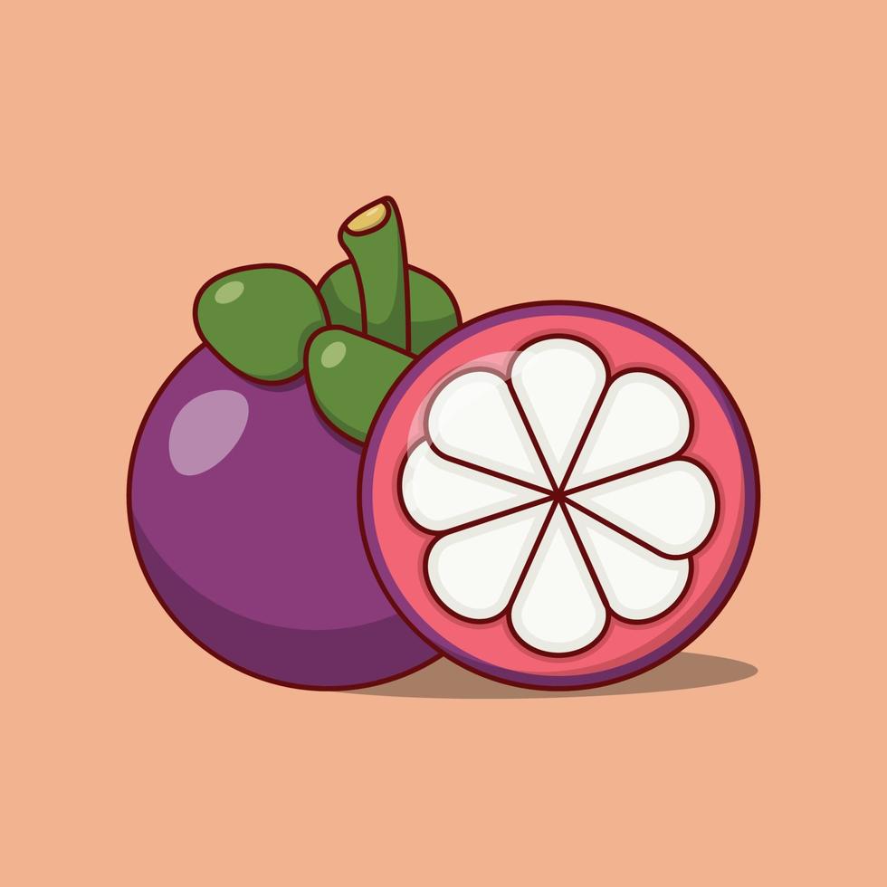 ilustración vectorial de mangostán entero y medio. diseño de frutas dulce y fresco. estilo de dibujos animados planos adecuados para icono, página de inicio web, pancarta, volante, pegatina, tarjeta, fondo, camiseta, imágenes prediseñadas vector