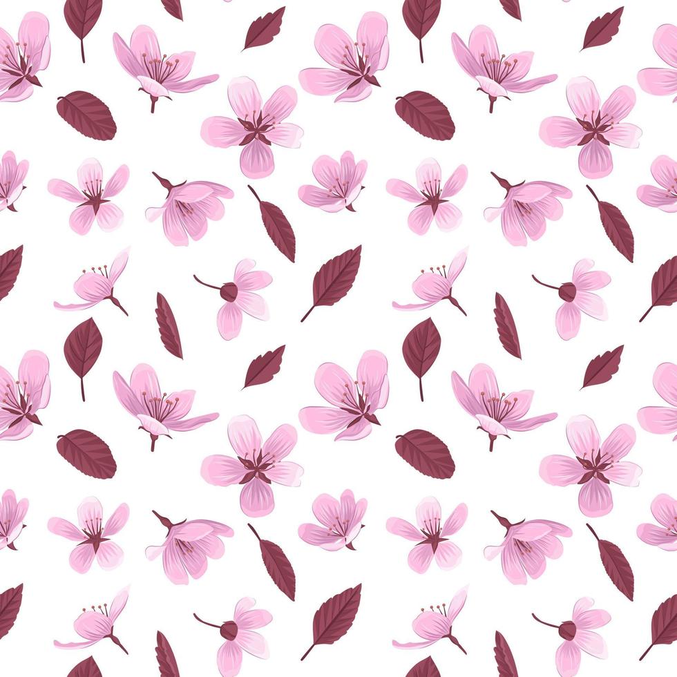 Cherry blossom flowers vector seamless pattern.