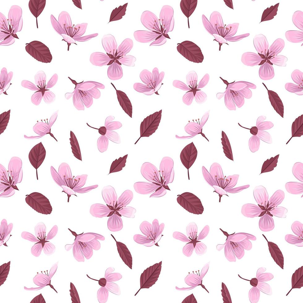 Cherry blossom flowers vector seamless pattern.