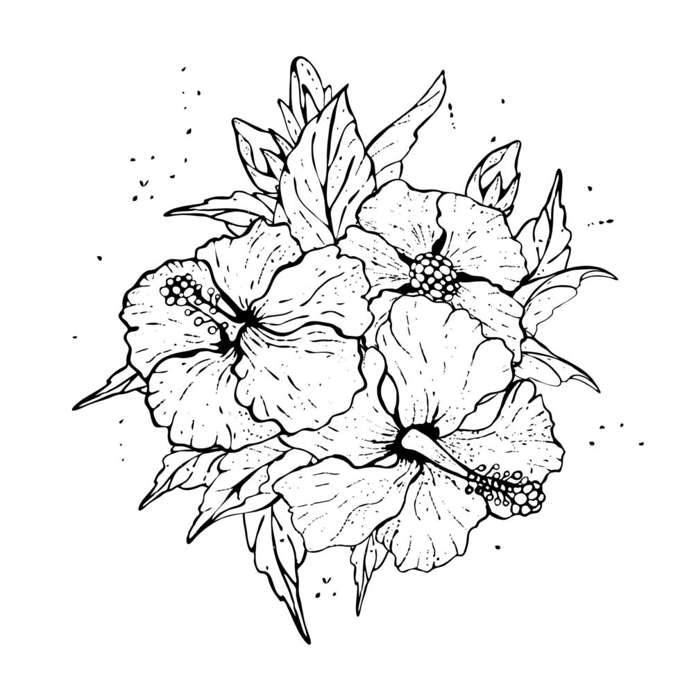 dibujo de flores de hibisco y boceto de arte lineal sobre fondo blanco. vector