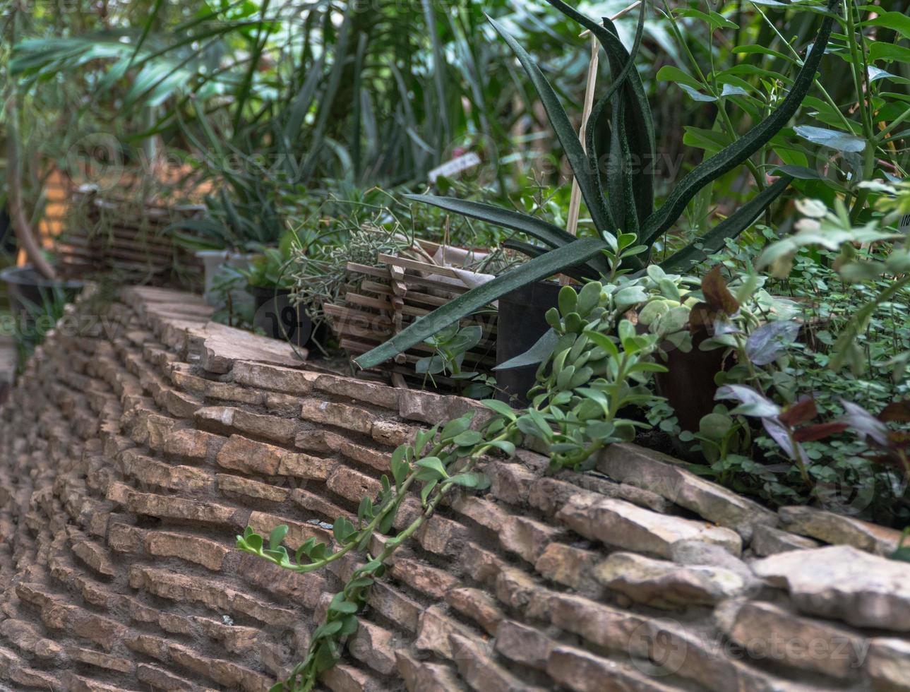 stone flower bed in the decorative greenhouse. the tropical greenhouse photo