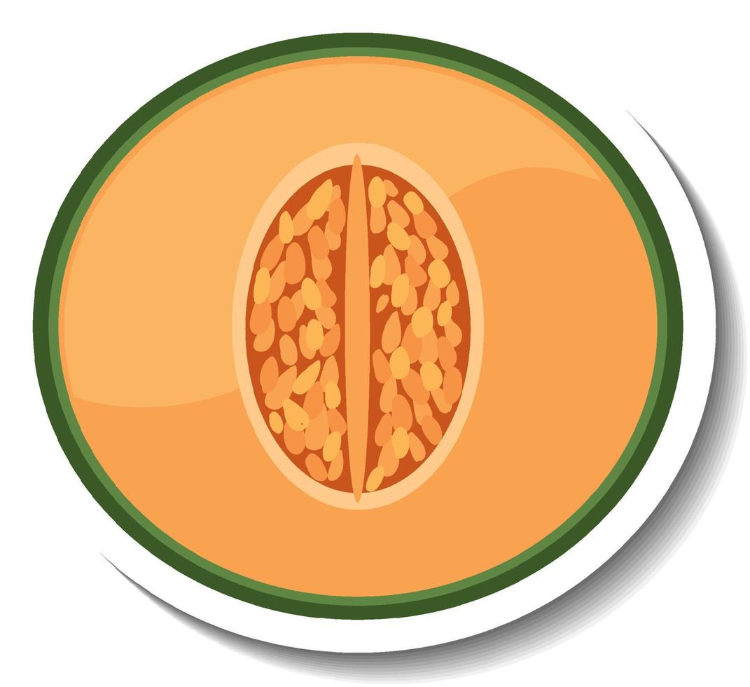 Chopped cantaloupe in cartoon style vector