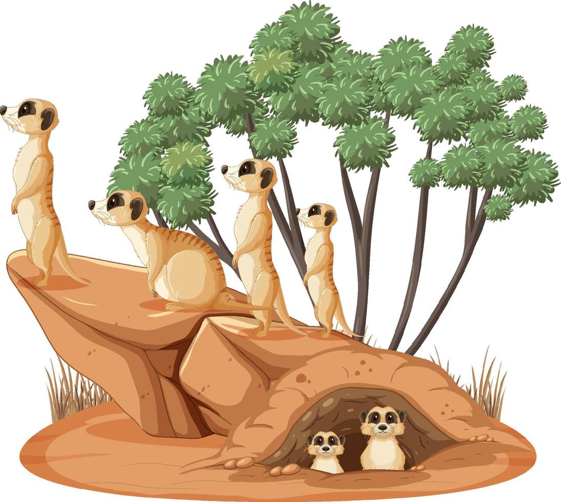 Escena de la naturaleza aislada con la familia suricata vector