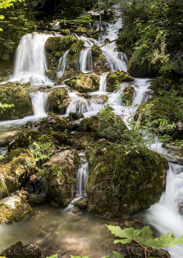 Long exposure photo of a stream in the forest in Austria.