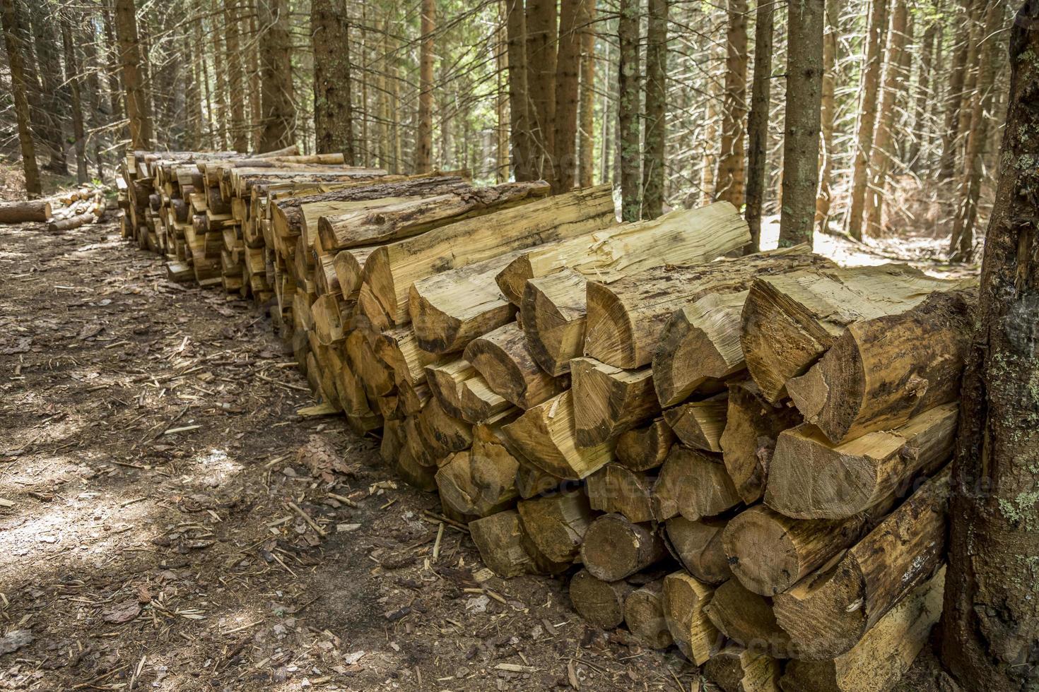 Winter preparation. Stacking Firewood. Pile of firewood loggs in Bulgaria. Firewood background. photo