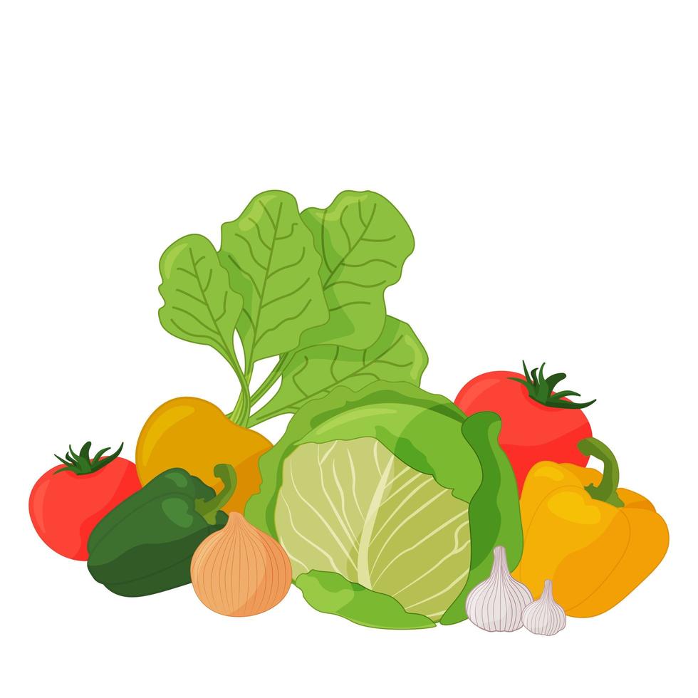 Set of vegetables on a white background, harvest vector