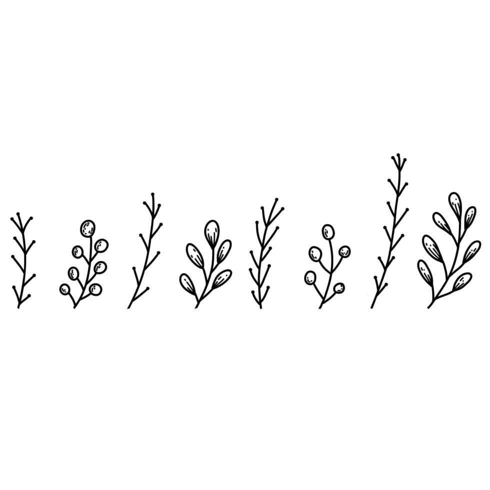 Floral elements in hand drawn doodle style. Plant branches linear illustration vector