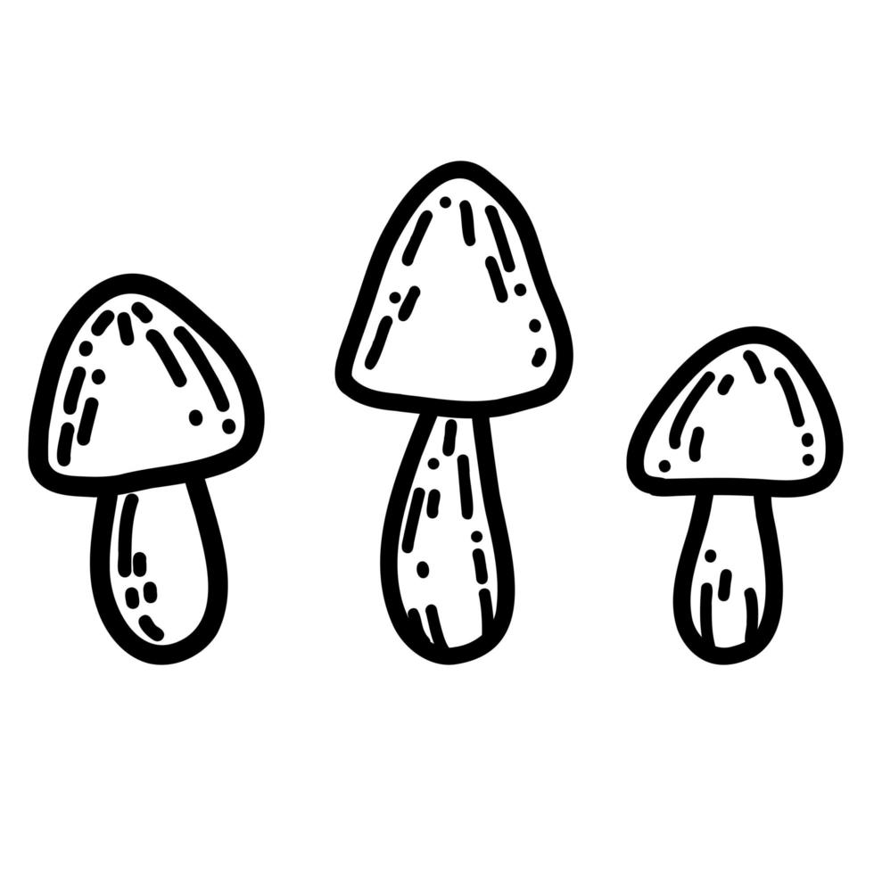 Mushroom in hand drawn doodle style. Linear autumn vector illustration