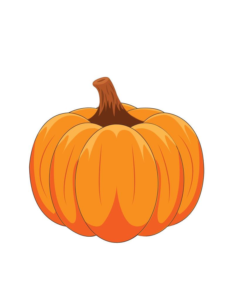 vector of pumpkin